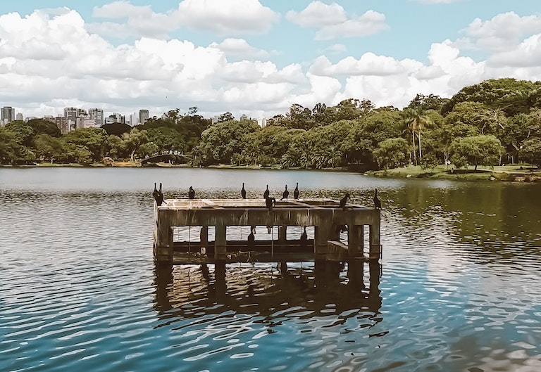 - Parque Ibirapuera